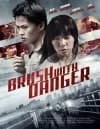 Brush With Danger-poster